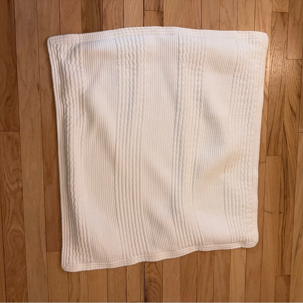 West Elm Euro Shams Set